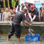 Gubenur Jawa Timur Khofifah Indar Parawansa dan Bupati Kediri Hanindhito Himawan Pramana saat ikut panen lele di Republik Lele. Foto: Ist.