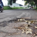 Jalan aspal berlubang yang sudah banyak memakan korban para pengendara. 