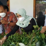 Mbak Wabup Dewi Mariya Ulfa (tengah) saat ikut memilah bahan untuk membuat pupuk organik di acara pelatihan pembuatan pupuk cair organik bagi para petani di Desa Kedawung, Kecamatan Mojo, Kabupaten Kediri. (foto: MUJI HARJITA/BANGSAONLINE)