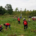 Tanam pohon yang diikuti petugas Lapas, Perhutani, PWI, hingga WBP di Desa Tuwiriwetan, Kecamatan Merakurak, Tuban.