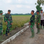 Dandim saat bertemu dan berbincang dengan anggota Satgas TMMD  di Desa Sekar Putih. 