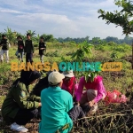 Tanam pohon yang dilakukan Pemerintah Desa Sukoharjo, Bojonegoro. Foto: EKY NURHADI/ BANGSAONLINE