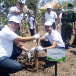 General Manager HCML, Tilak Ranjith Kumar Nithiyeswaran sedang melakukan penanaman mangrove di salah satu lahan yang ada di Desa Semare, Kecamatan Kraton, Kabupaten Pasuruan.