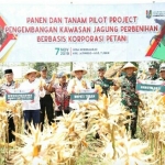 Suasana panen raya jagung hibrida di di Desa Kebonharjo, Jatirogo, Tuban, Kamis (7/11).