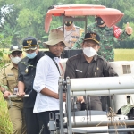 Bupati Yuhronur dan Wakilnya Abdul Rouf didampingi Plt. Kepala Dinas Tanaman Pangan, Holtikultura, dan Perkebunan Lamongan Sujarwo saat panen raya. (foto: ist)