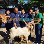 Kalaksa BPBD Jatim, Gatot Soebroto saat menyerahkan hewan kurban kepada ketua panitia Foto: DEVI FITRI AFRIYANTI/ BANGSAONLINE