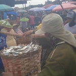 Situasi Pasar Ikan Lamongan. 