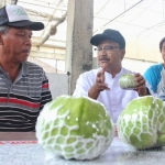 Gus Ipul berdiskusi dengan salah satu petani sekaligus pemilik kebun jambu kristal kebun jambu organik setempat.