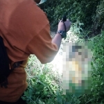 Petugas saat temukan bagian tubuh korban mutilasi.