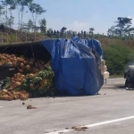 Kondisi truk engkel dan mobil Innova usai terlibat laka.