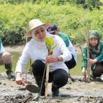 Gubernur Khofifah saat mengikuti Festival Mangrove di Wisata Bahari Tlocor dan Pulau Lusi, Sidoarjo.