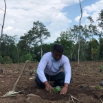 Ketua Himpunan Kerukunan Tani Indonesia (HKTI) Jember, Jumantoro, saat bertanam di lahan kering