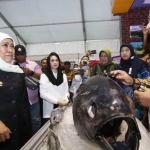 Gubernur Jawa Timur Khofifah Indar Parawansa meninjau Jatim Fish and Marine Exhibition dan Pemecahan Rekor MURI Penyajian 11.089 Ekor Bandeng Presto Terbanyak di Parkir Timur Surabaya Plaza, Jum’at (15/11). foto: bangsaonline.com