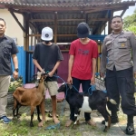 Kedua pelaku pencurian kambing saat diekspose Polsek Duduksampeyan, Gresik. Foto: Ist