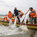 Bupati Fadeli saat menebar benih ikan tombro dan tawes. (foto: ist)