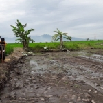 Lokasi bakal perumahan Mojoanyar yang menyisakan masalah. Foto: YUDI EP/BANGSAONLINE