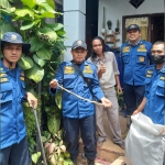 Petugas Damkar Gresik menunjukkan ular piton yang diamankan dari rumah seorang warga di Desa Driyorejo. Foto: SYUHUD/ BANGSAONLINE