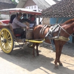 Kapolsek, Danramil, dan Camat Jogoroto saat naik delman dalam pembagian sembako.