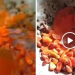 Tangkapan layar video cabai bercat digoreng yang kini viral di media sosial. 