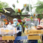 Gubernur Jawa Timur Khofifah Indar Parawansa melepas burung saat meresmikan RS Lapangan Joglo Dungus Madiun yang berada area terbuka dan sejuk di Desa Dungus, Kecamatan Wungu, Kabupaten Madiun, Rabu (3/2/2021). foto: ist/ bangsaonline.com