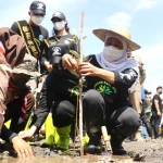 Gubernur Khofifah saat menanam mangrove di Pantai Bohay.