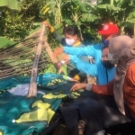 Petugas saat memantau jentik nyamuk di Kecamatan Ngancar. (foto: kominfo)