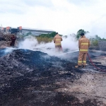 Petugas Damkar Gresik saat memadamkan kobaran api yang membakar tumpukan kayu palet. Foto: Ist.