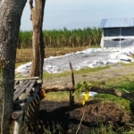 Tumpukan Limbah B3 di halaman kandang ayam di Desa Karangdagangan.