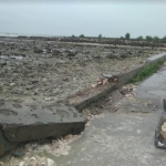 Kondisi tanggul penahan pantai Ngemboh, Kecamatan Ujungpangkah rusak berat setelah diterjang ombak. foto: SYUHUD/ BANGSAONLINE