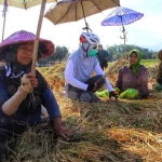 Bupati Tantri saat berdialog dengan masyarakat yang ditemui di sepanjang perjalanan. (foto: ist).