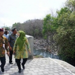 Kawasan mangrove di tempat Wisata Boom yang akan ditebangi habis.