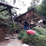 Kandang sapi dan rumah warga yang terdampak longsor. foto: AKINA/ BANGSAONLINE