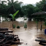 Banjir kembali merendam perumahan warga di Arjosari Pacitan.