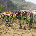 Kegiatan penanaman pohon mangrove.