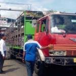  Salah satu truk pengangkut sapi yang dihentikan polisi.? foto: BANGSAONLINE