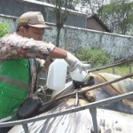 Petugas DLH sedang mengambil sampel. foto: Soffan/BANGSAONLINE
