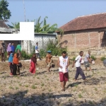 Petugas bersama petani saat menabur racun tikus ke sawah.