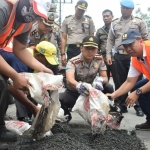 Kapolres Sidoarjo menyempatkan diri ikut memperbaiki jalan berlubang yang mengakibatkan laka dan kemacetan di Jalan Raya Gedangan