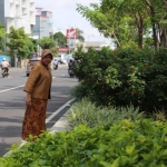 Risma saat meninjau tanaman di separator FR sisi barat.