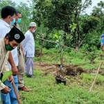 Rektor Institut Agama Islam Tri Bhakti Lirboyo KH. Abdulloh Khafabihi Mahrus di lokasi penghijauan di Kawasan Gunung Klotok. foto: Muji Harjita/ BANGSAONLINE.com