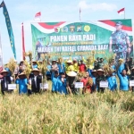 Pangdam V/Brawijaya, Mayjen TNI Rafael Granada Baay, saat panen raya padi di Ngawi.