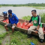 Sawah di Kecamatan Beji tampak masih tergenang banjir.