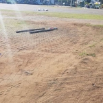 Tampak rumput-rumput di alun-alun terkena tapak ban.