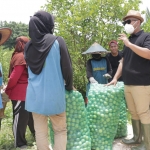 Bupati Fandi Akhmad Yani bersama istri usai panen jeruk nipis di Desa Kebunagung. foto: SYUHUD/ BANGSAONLINE