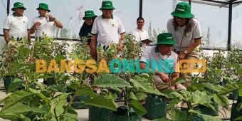 Dirut Pupuk Indonesia Resmikan Petrokimia Agro Tech Center dan Pabrik Phonska Cair