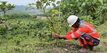 Peringati Hari Lingkungan Hidup Sedunia, SBI Dorong Pemulihan SDA di Wilayah Operasi