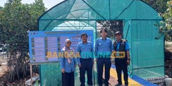 PT Smelting Bantu Green House di Ecowisata Mangrove Pangkah Kulon Gresik