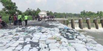 BLH Jombang Pastikan Limbah di Sungai Afur Sumobito Beracun