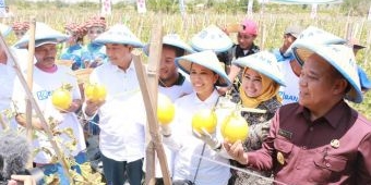 Menteri BUMN Rini Soemarno Janjikan Sendangharjo jadi Kawasan Melon