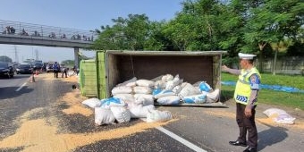 Diseruduk Bus, Truk Muat Jagung Terguling di Tol Sidoarjo